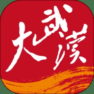 大武汉 7.7.13 安卓版